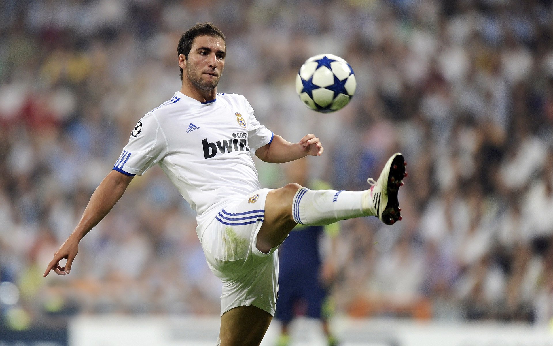 FBsports-世界杯焦点战启示录，辽宁力克雄鹿背后的篮球哲学